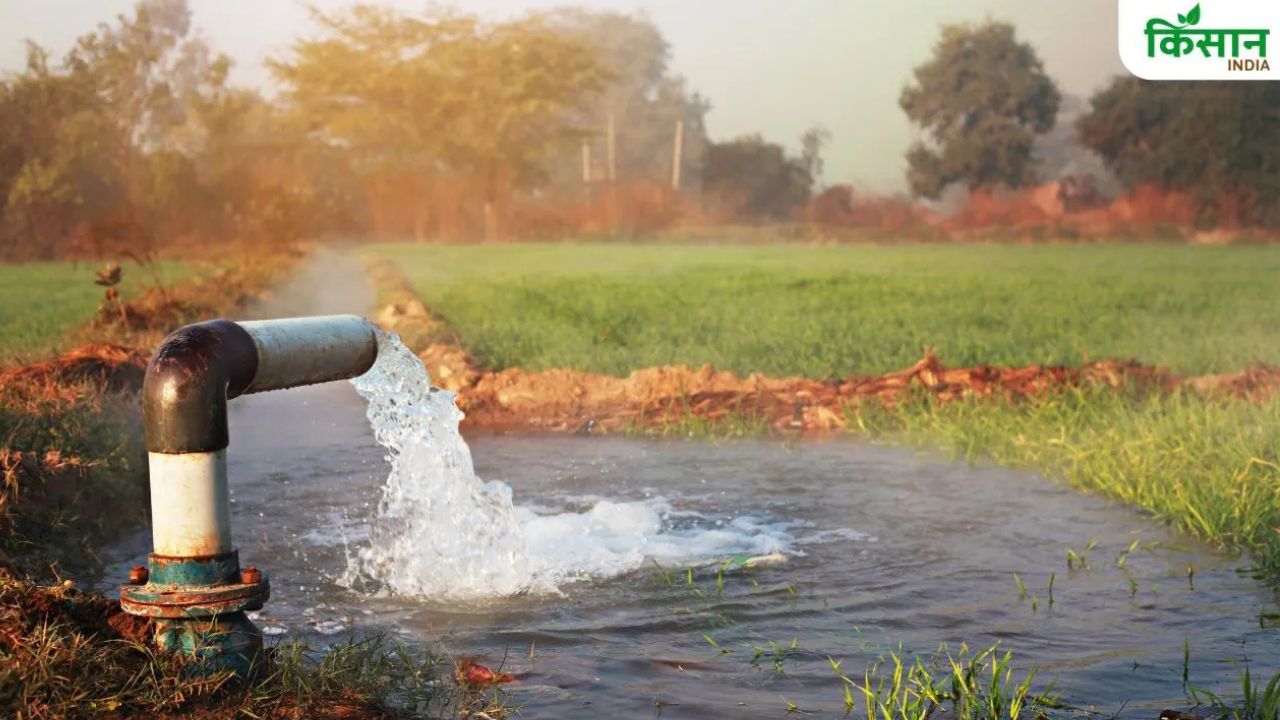 Power Cuts Paddy Farmers Tamil Nadu Farmers Get 14 Hours Electricity