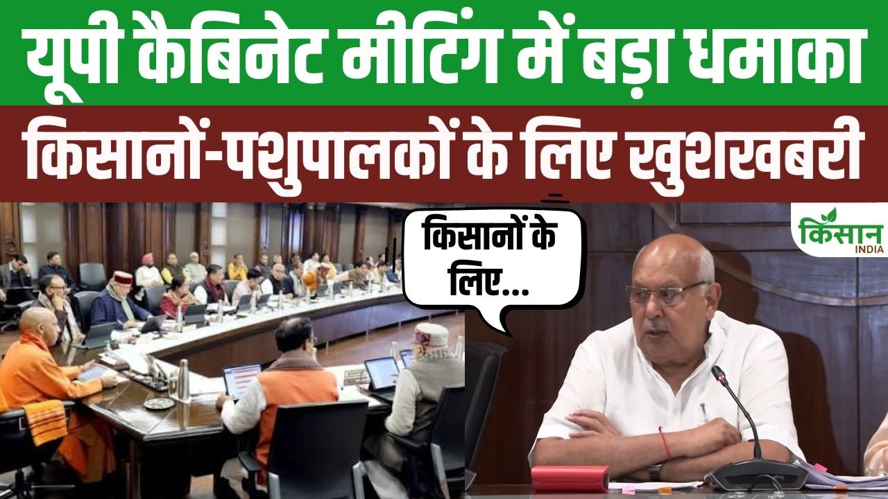 Up Cabinet 28 Proposals Farmers Livestock Relief Yogi Government