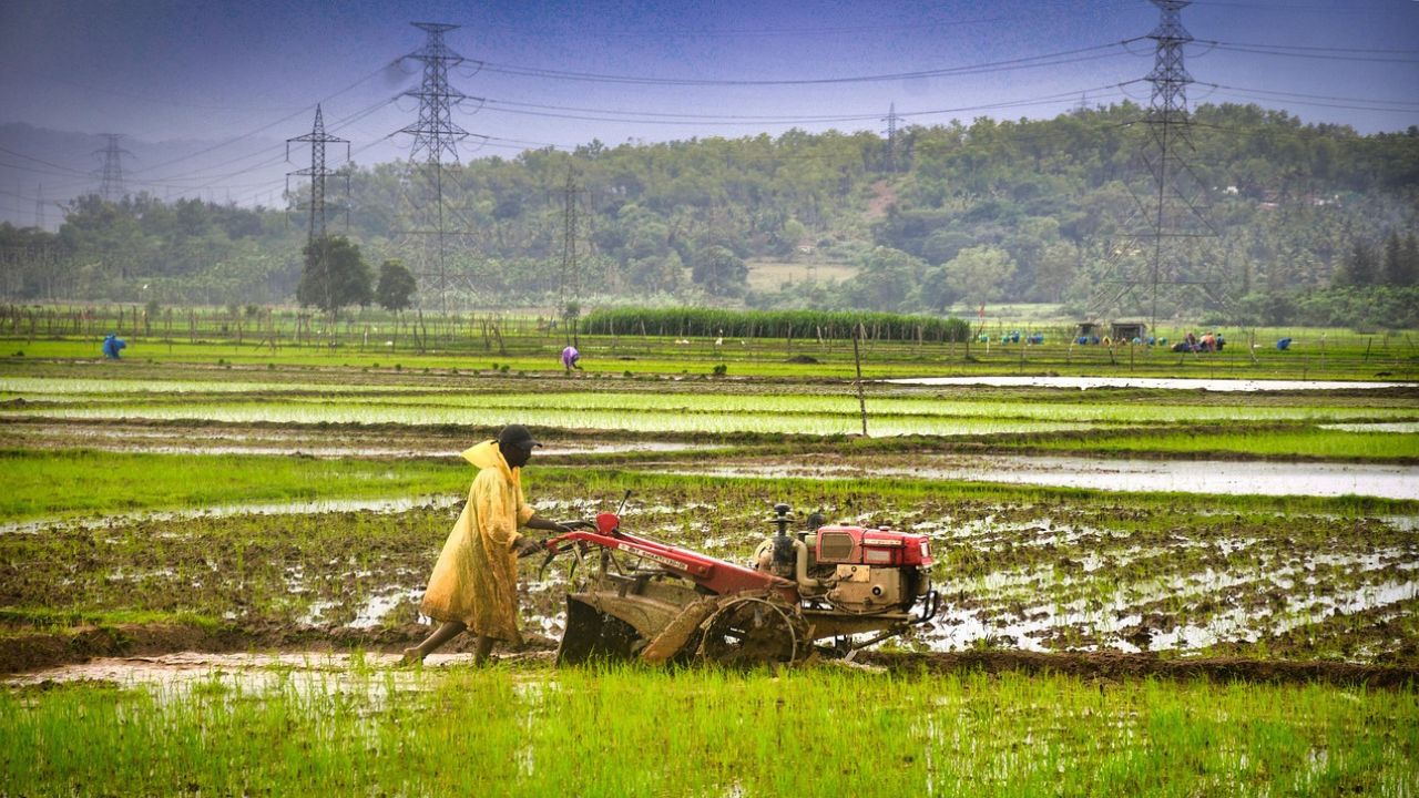 Alert Issued Rain Accompanied Occur In Many States Temperature In Delhi Will Reach 36 Degrees