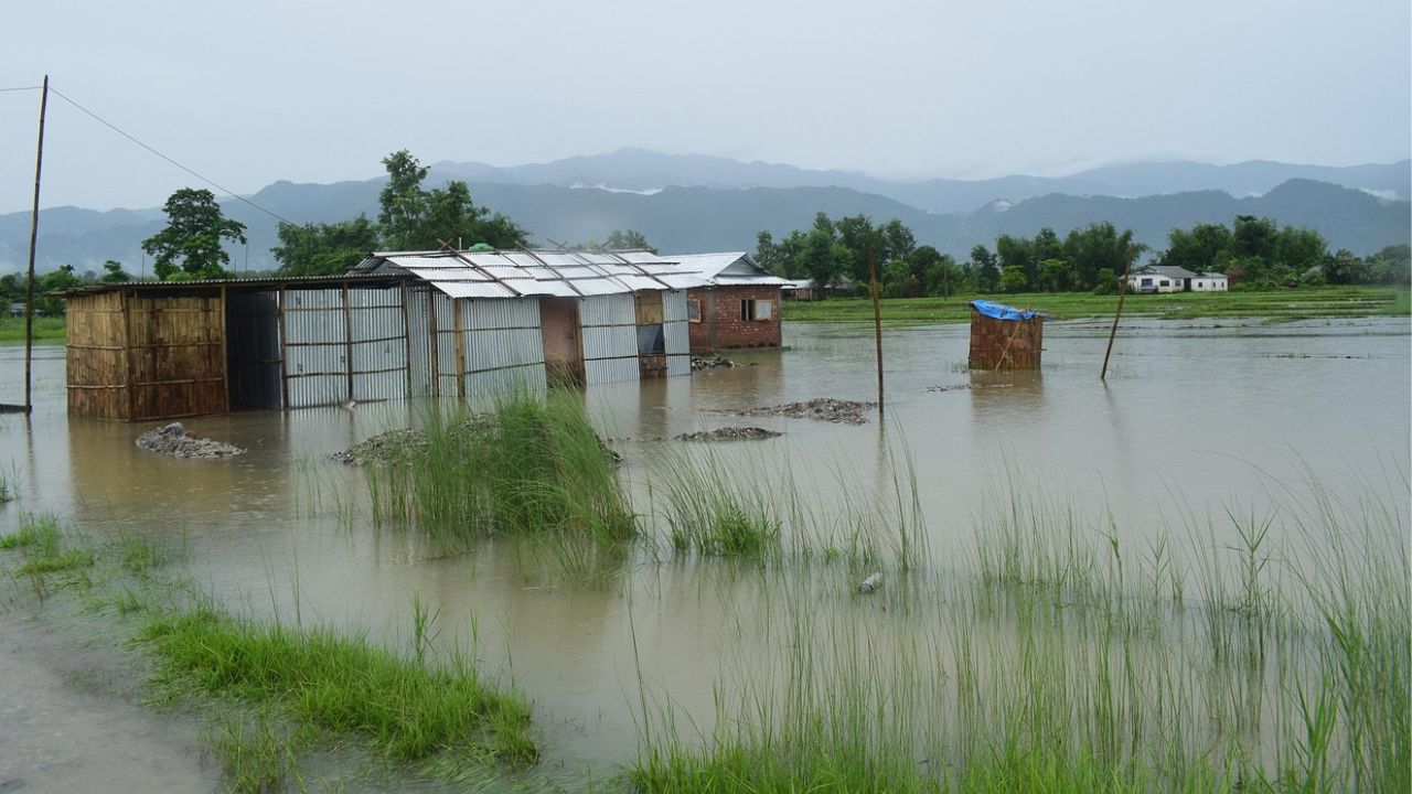 Monsoon Becomes Active Heavy Rain Alert Issued 16 July Weather Update