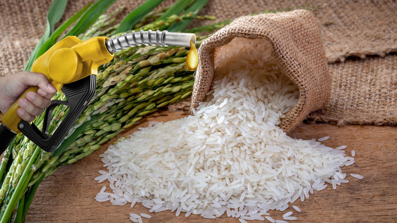 कच्चे तेल पर निर्भरता घटाने की तैयारी, एथेनॉल के लिए FCI से 72 लाख टन चावल आवंटित