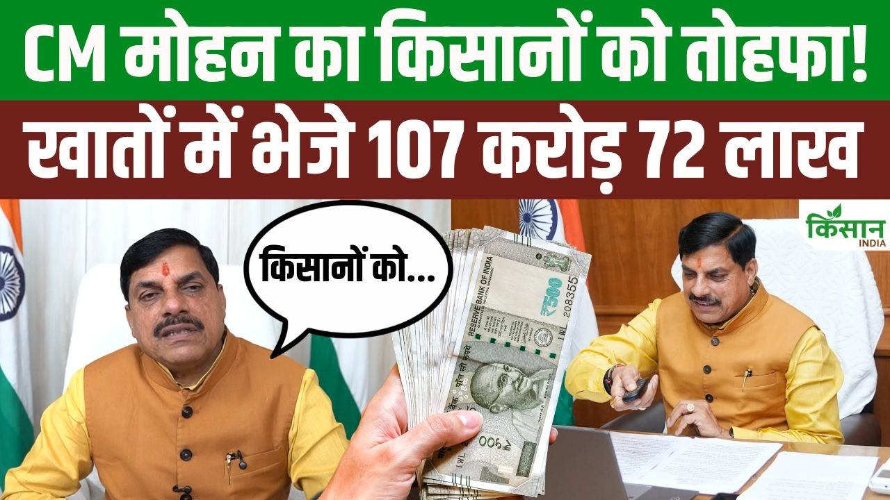 Major Gift From Cm Mohan Yadav 107 Crore Transferred To Banana Farmers Accounts