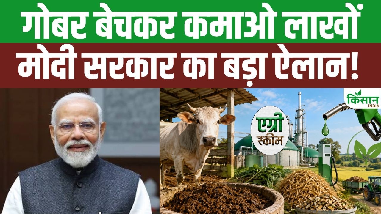 Cow Dung Longer Go To Waste Pm Modi Government Has A Major Plan Farmers Gain A New Avenue For Income