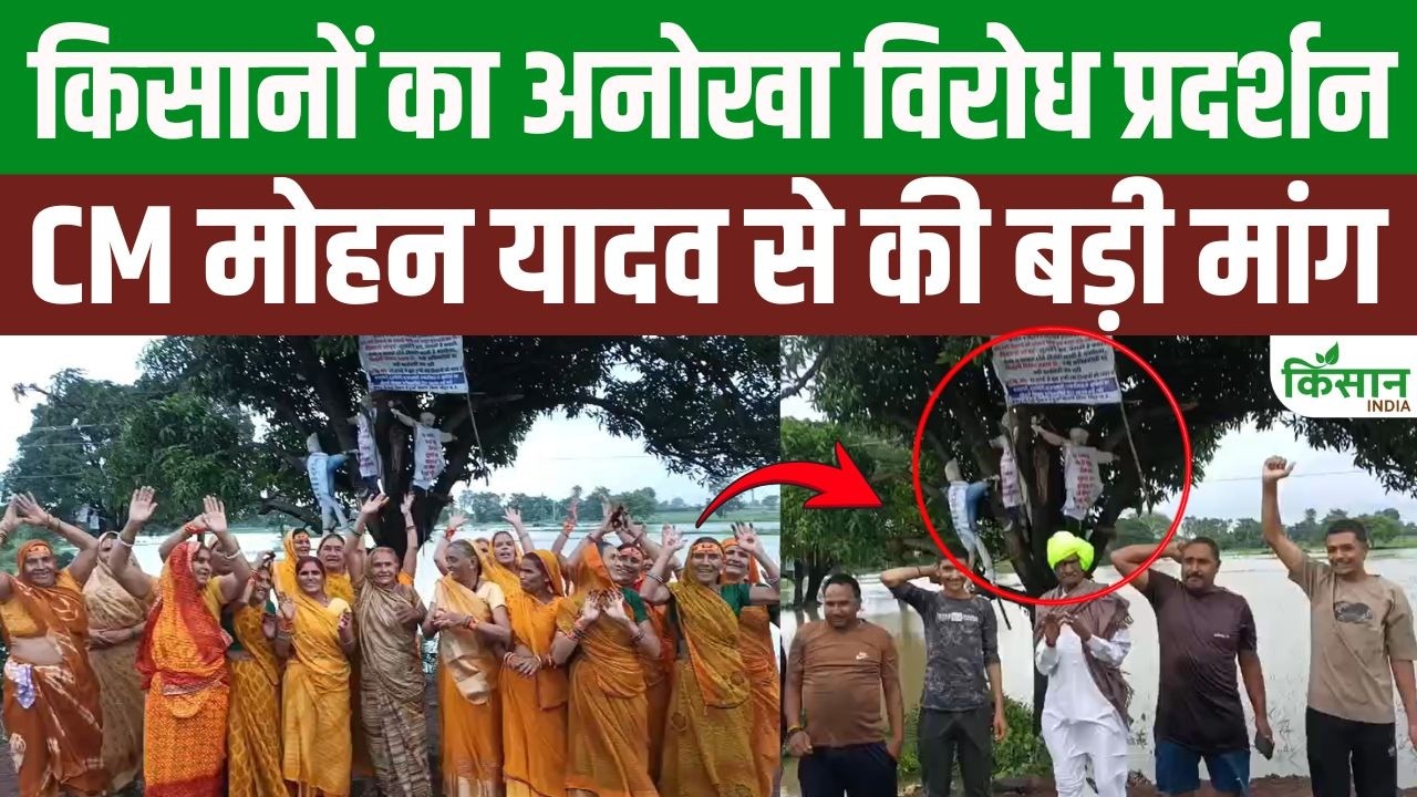 CM मोहन के राज्य में किसानों का अनोखा प्रदर्शन, कई मांगों को लेकर फूटा गुस्सा!