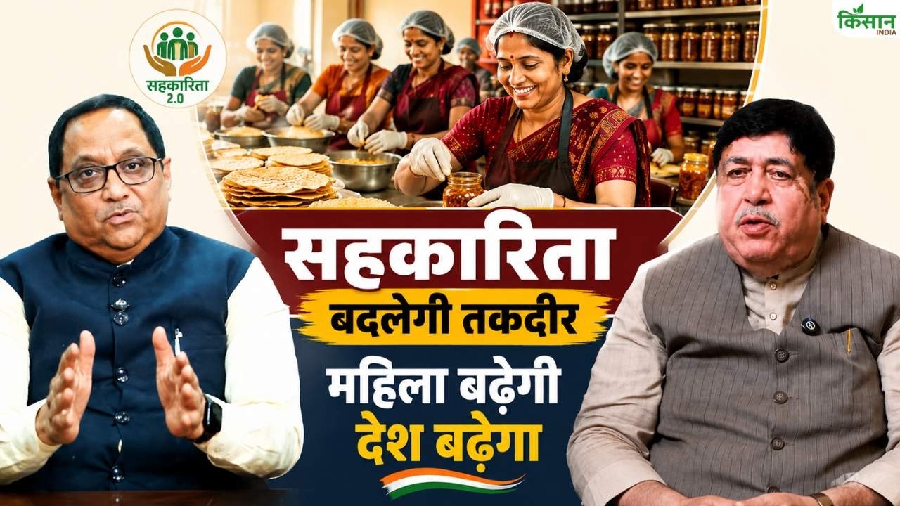 महिला कोऑपरेटिव क्या है? जानिए कैसे सहकारी समिति बदल रही है लाखों महिलाओं की जिंदगी