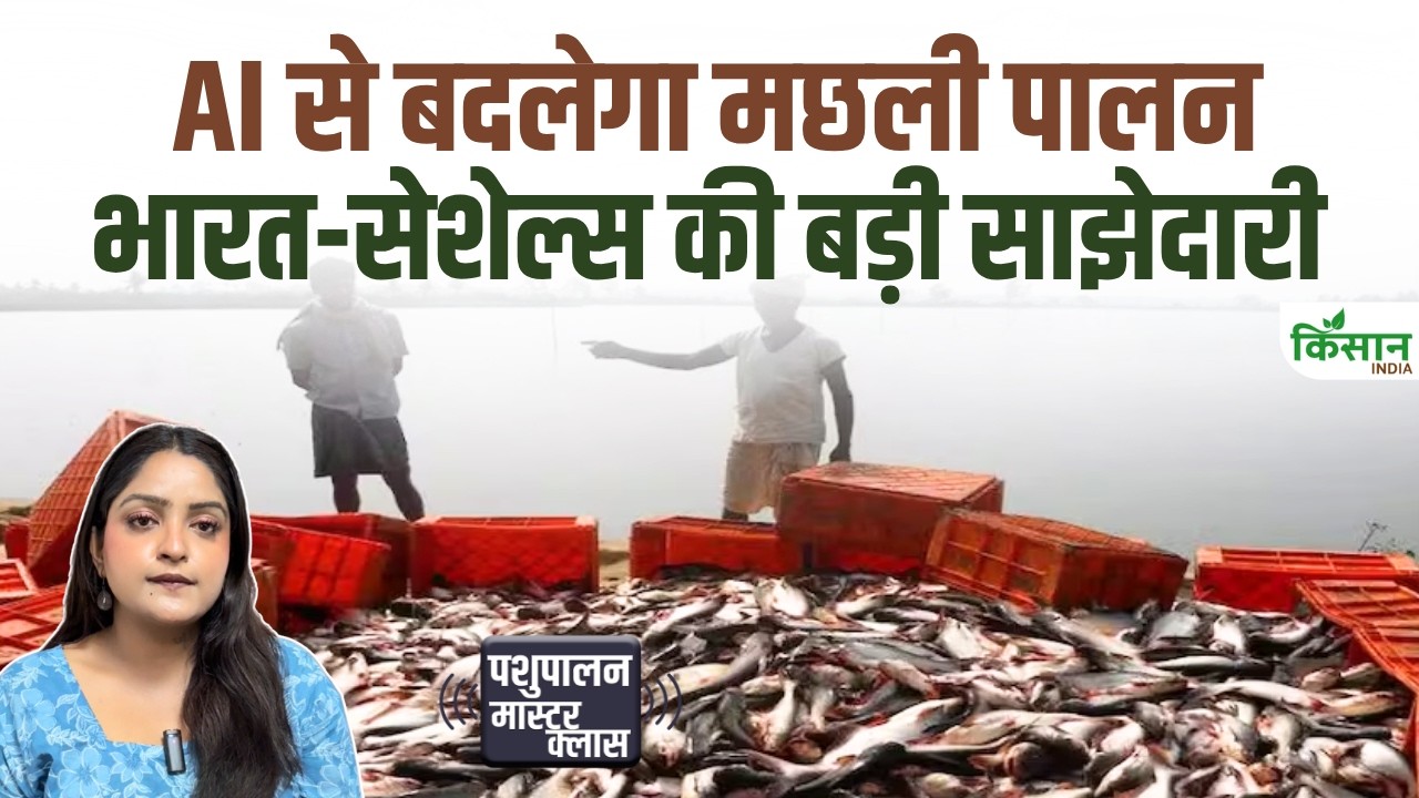 India-Seychelles की बड़ी डील! AI से बदलेगी Fish Farming, टूना फिशरीज से बढ़ेगी Blue Economy India-Seychelles की बड़ी डील! AI से बदलेगी Fish Farming, टूना फिशरीज से बढ़ेगी Blue Economy