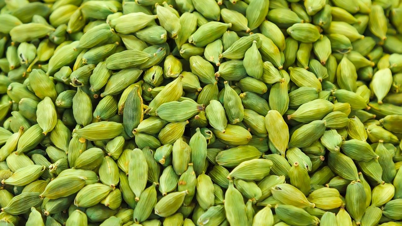 Green Cardamom Export Hit By High Prices As Weak Monsoon Raises Production Concerns In India