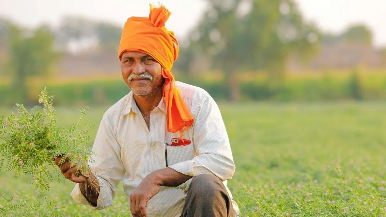 Crop Insurance Coverage 7 Lakh Andhra Pradesh Farmershave Taken Insurance