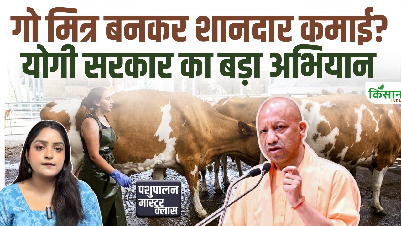 UP में 10 हजार युवाओं को मिलेगा रोजगार! ‘गो मित्र’ बनकर करेंगे गोसेवा, जानें पूरी योजना UP में 10 हजार युवाओं को मिलेगा रोजगार! ‘गो मित्र’ बनकर करेंगे गोसेवा, जानें पूरी योजना