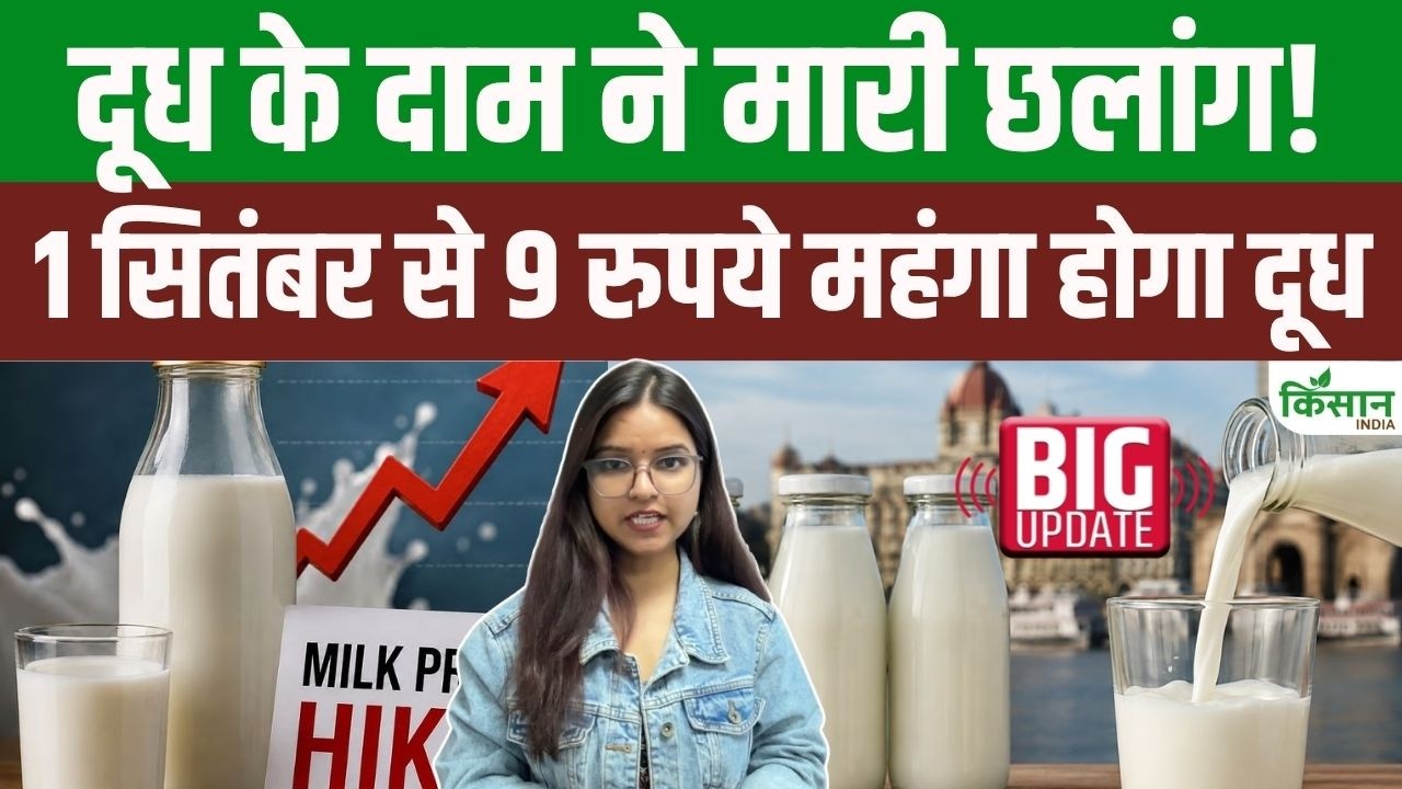 त्योहारों से पहले महंगाई का झटका! 1 सितंबर से 9 रुपये महंगा होगा दूध, जानें नया रेट