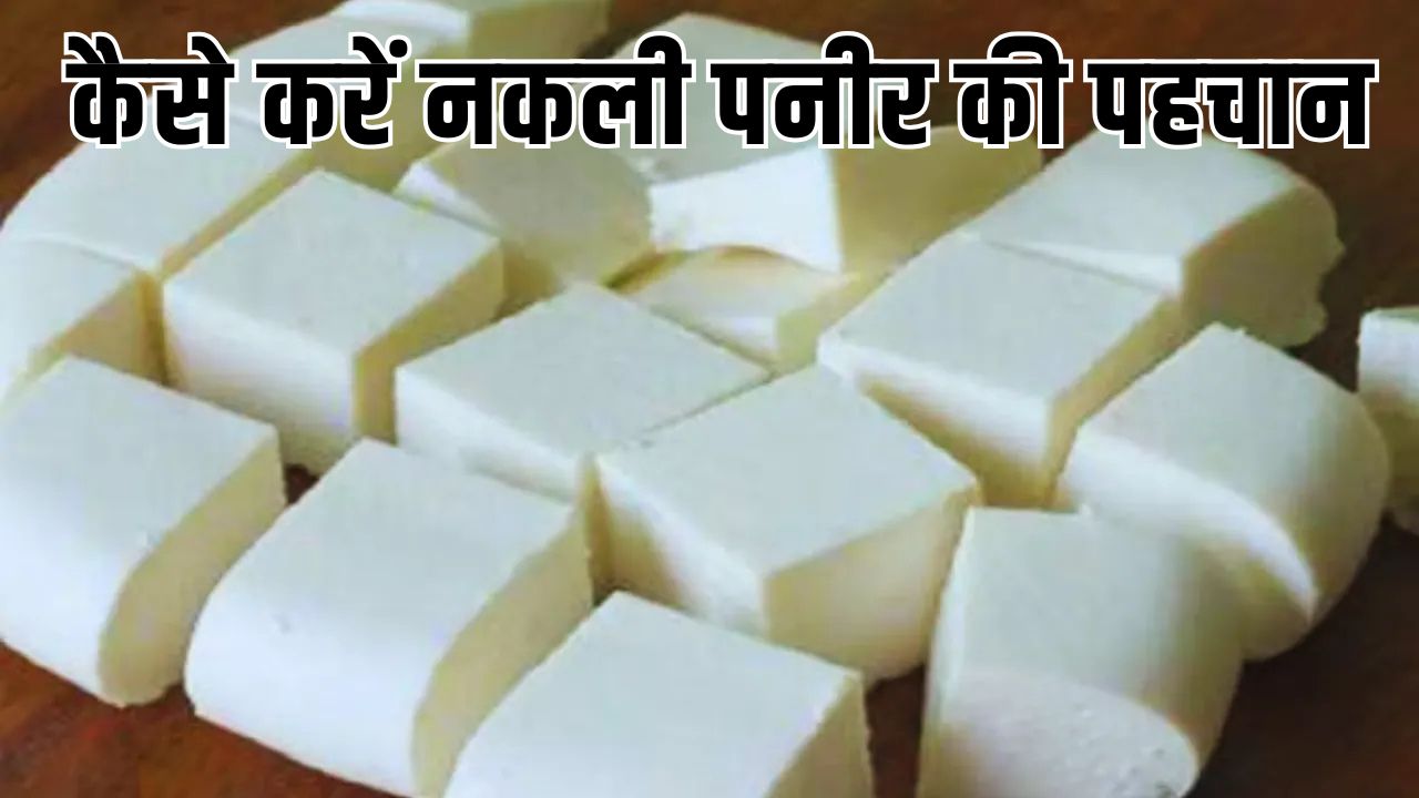 ओडिशा में मिलावटी पनीर पर बड़ा एक्शन, 72 क्विंटल माल जब्त..ऐसे हुआ मामले का खुलासा