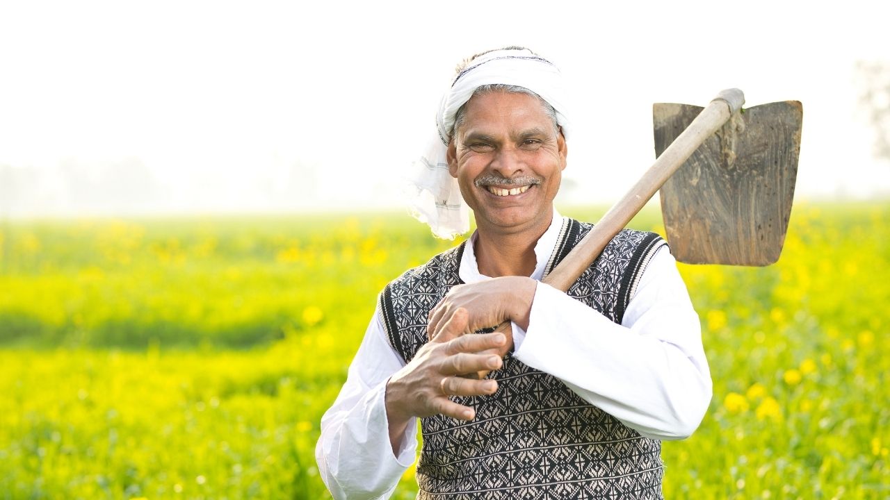 Maharshtra Government Extends Registration Date For Pm Fasal Bima Yojana Till 10th August Pmfby Scheme