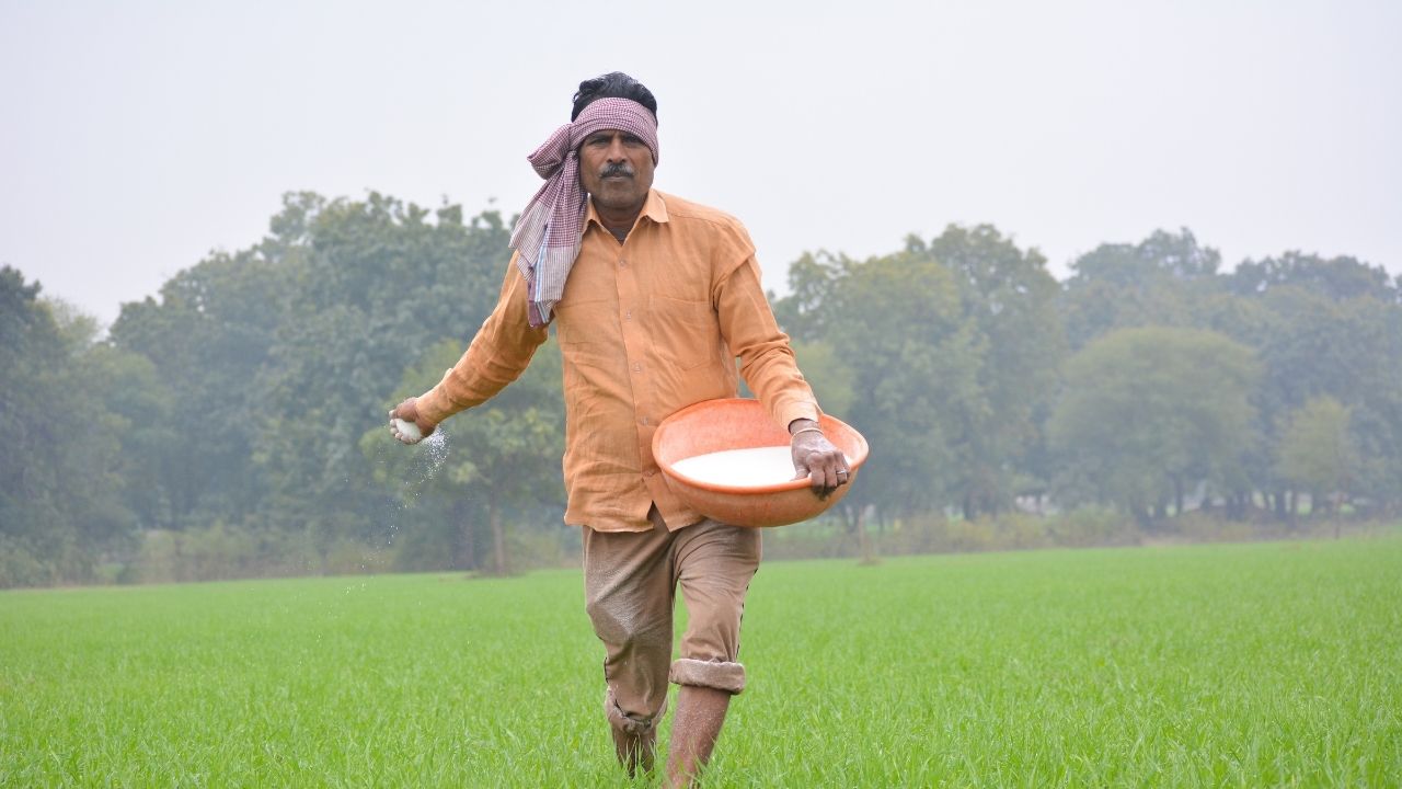 खाद पर बढ़ता खर्च बना चुनौती! यूरिया पॉलिसी बदलने की तैयारी में केंद्र, किसानों पर क्या होगा असर?