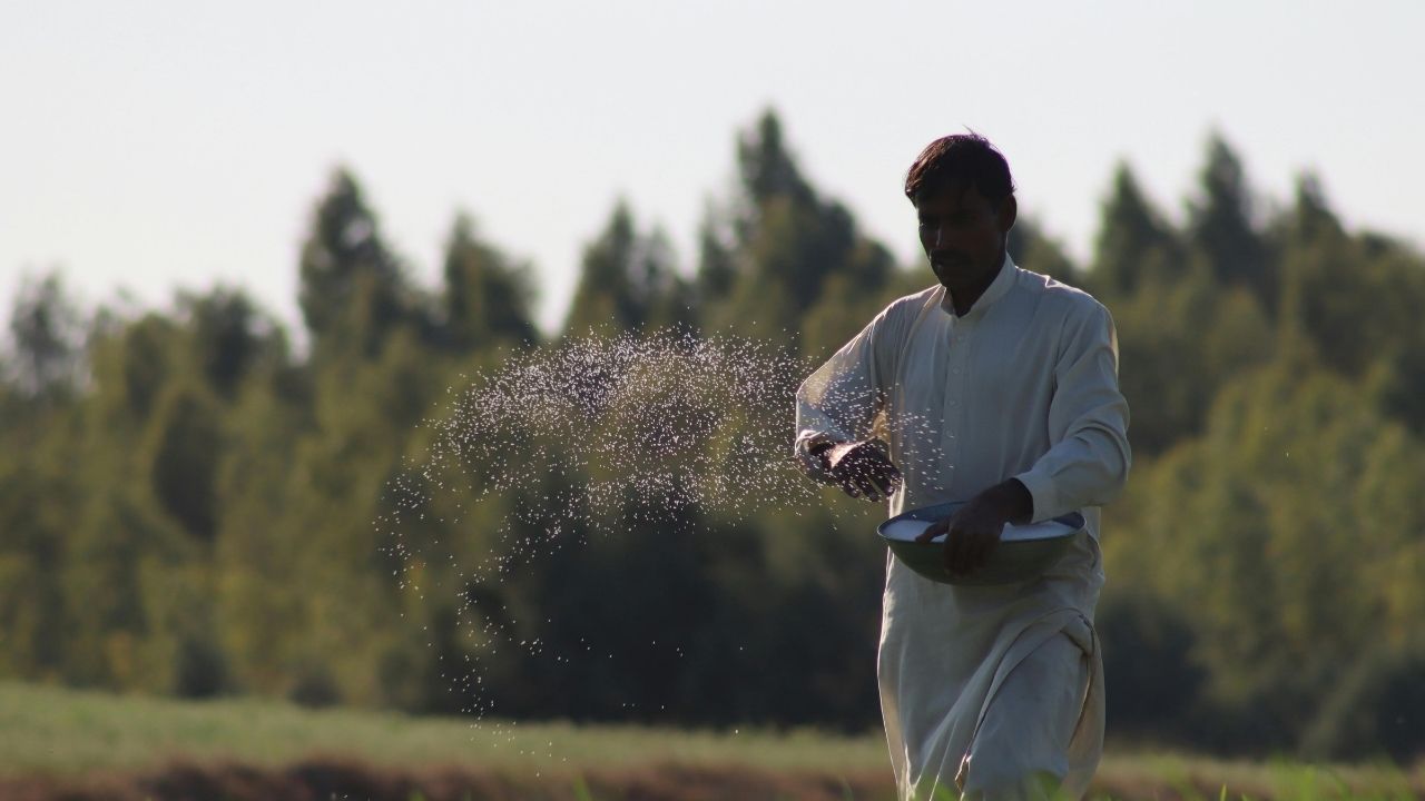India Imported Urea Dap From Multiple Countries To Ensure Kharif Fertilizer Supply 2026