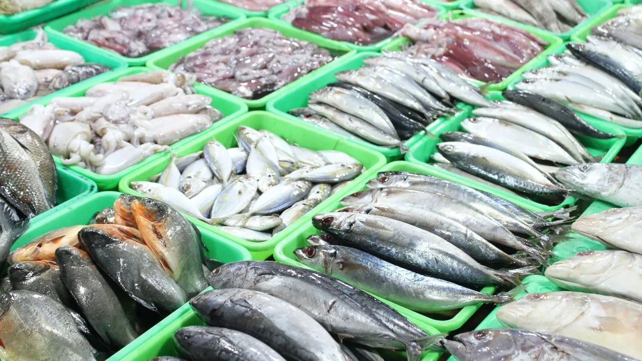Fisheries Development Projects Worth Rs 353 01 Crore Approved In Telangana Under Pradhan Mantri Matsya Sampada Yojana