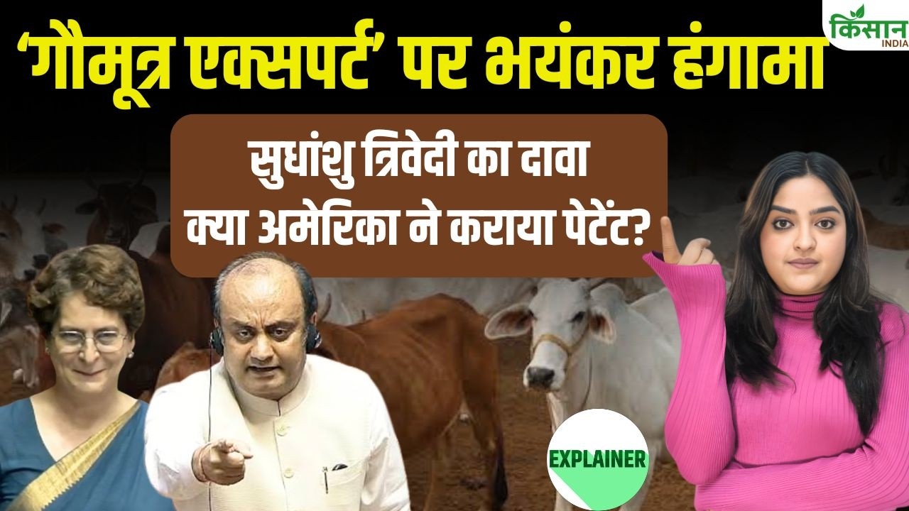 Sudhanshu Trivedi Hits Back Priyanka Gandhi Cow Urine Expert Remark Full Truth Behind The Patent Controversy Revealed