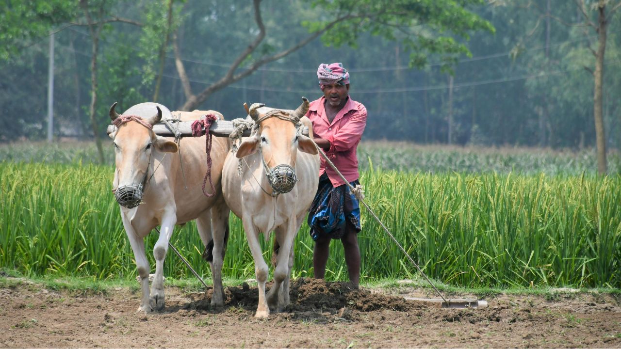 Kharif Season 2026 Rain Has Accelerated Sowing Speed Kharif Acreage Crosses 89 Point 4 Million Hectares
