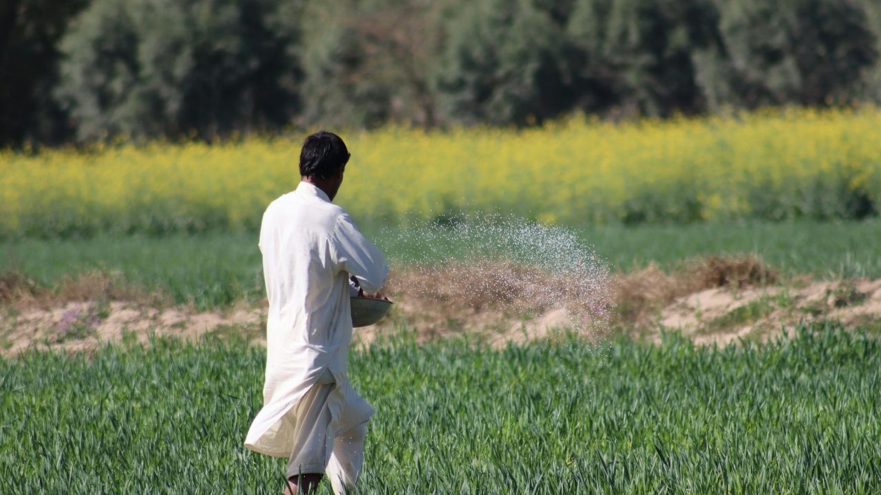 Fertiliser Demand Rebounds In July 2026 As Kharif Sowing Picks Up Urea Remains Top Choice