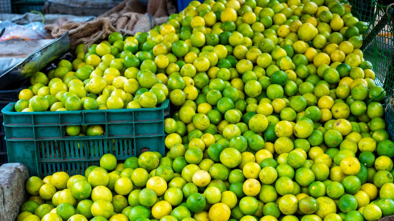 Lemon Price Hike Lemon Price Lemon Fresh Mandi Rate Andhra Pradesh Lemon Mandi Rate