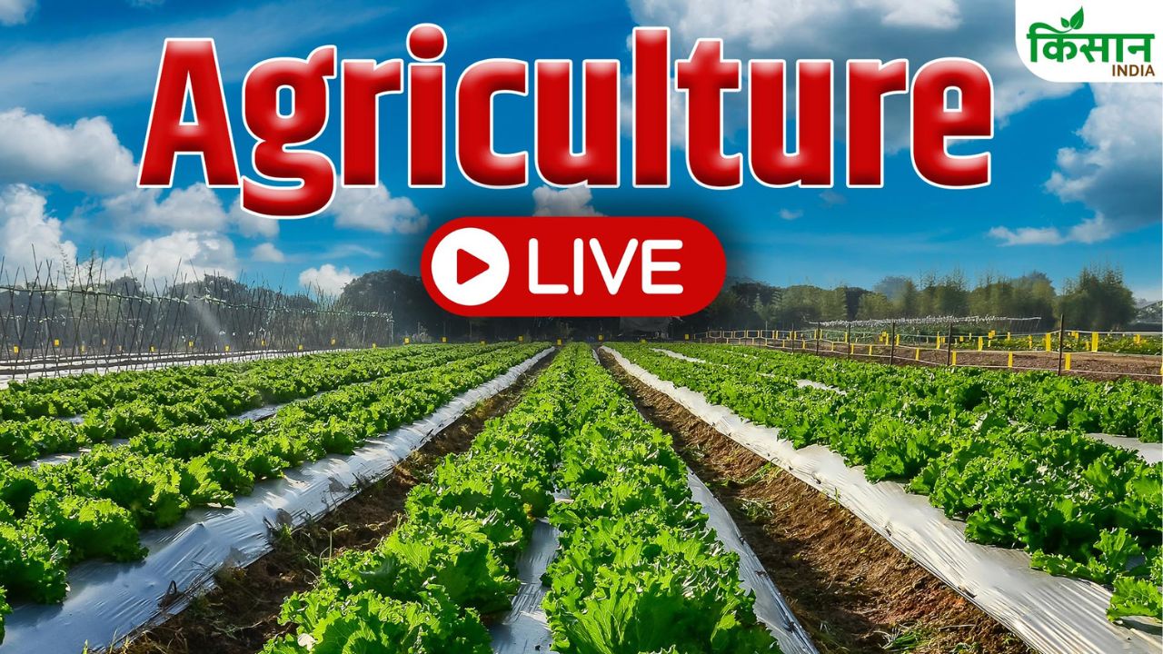 Agriculture News Live Updates 4th August 2026 Tuesday Pm Kisan Yojana Weather Updates Pm Fasal Bima Yojana Krishi Samachar Farmers Schemes Aaj Ki Latest News