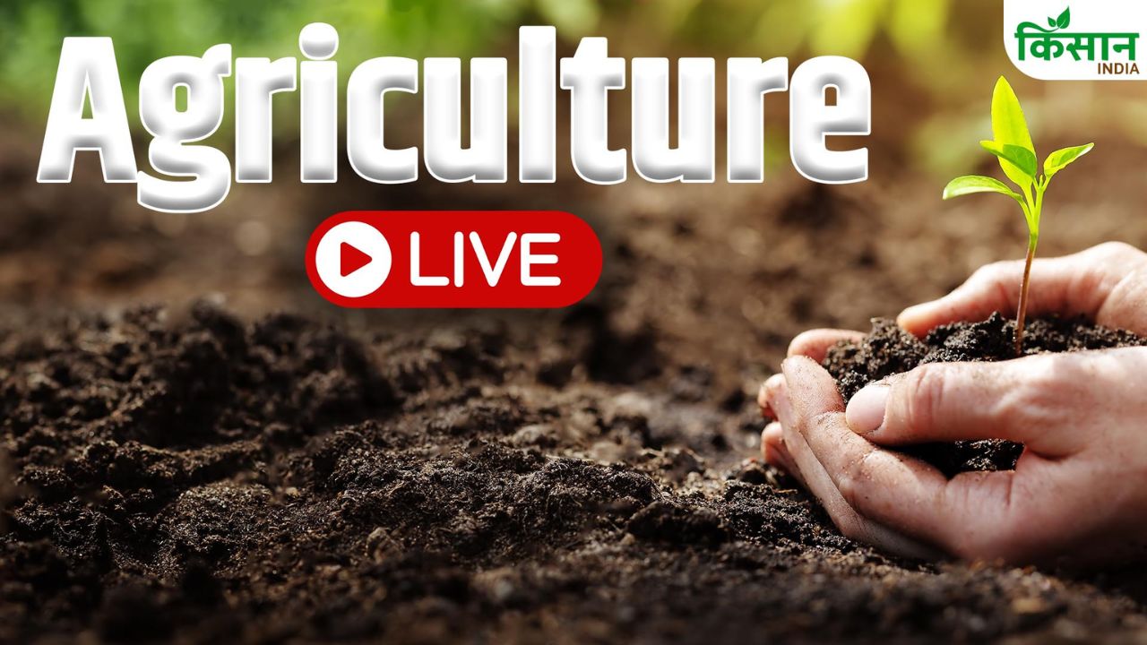 2nd August 2026 Agriculture News Live Updates Sunday Pm Kisan Yojana Weather Updates Pm Fasal Bima Yojana Krishi Samachar Farmers Schemes Aaj Ki Latest News