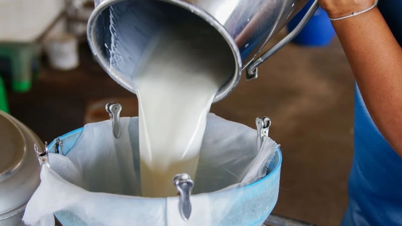 Milk Production Decreases In Tamil Nadu Madurai District Due To Heat Aavin Purchases Decline