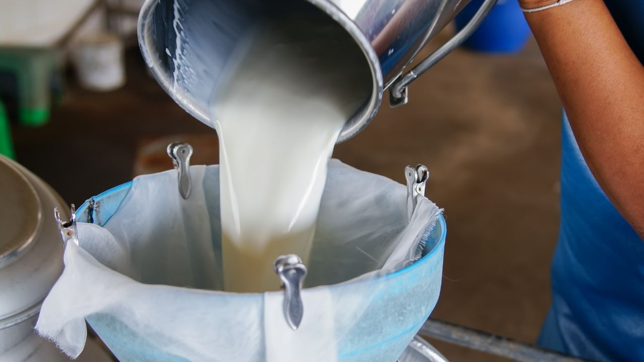 Maharashtra Milk Price Hike August 11 2026 Cow Buffalo Milk Prices Increase Dairy Products