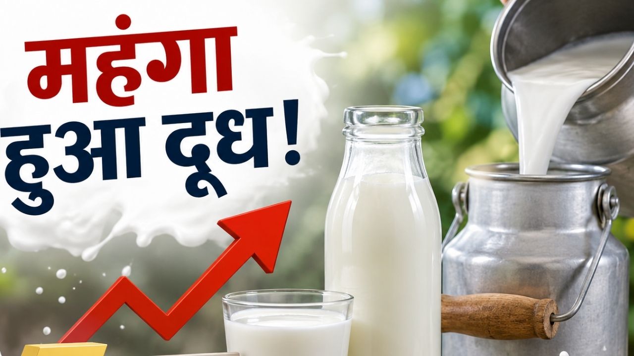 Maharashtra Milk Price Hike August 11 2026 Cow Buffalo Milk Prices Increase Dairy Products