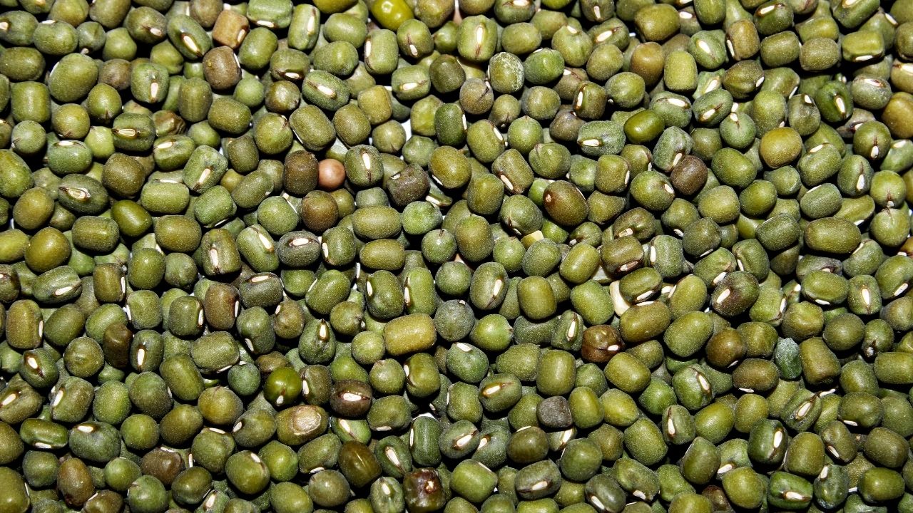 Msp Procurement New Rules Nominee Allowed For Moong Urad Farmers In Case Of Biometric Failure