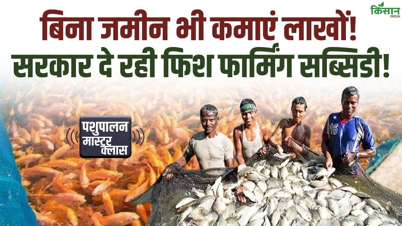 Start Fish Farming Business Without Owning Land Bihar Government Offering Substantial Subsidy Begin With Just 1000