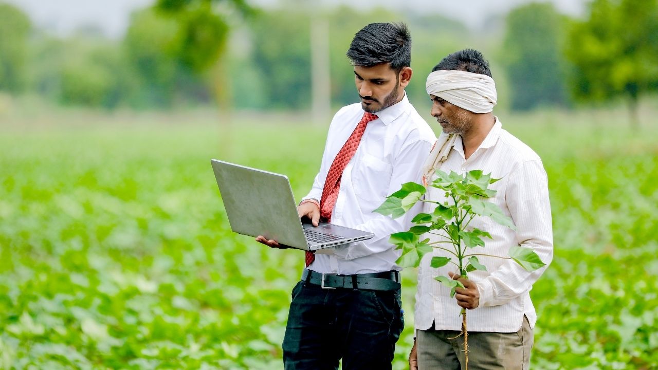 Pm Fasal Bima Yojana 2026 Crop Change Update Bank Record Before August 16 For Hassle Free Insurance Claim
