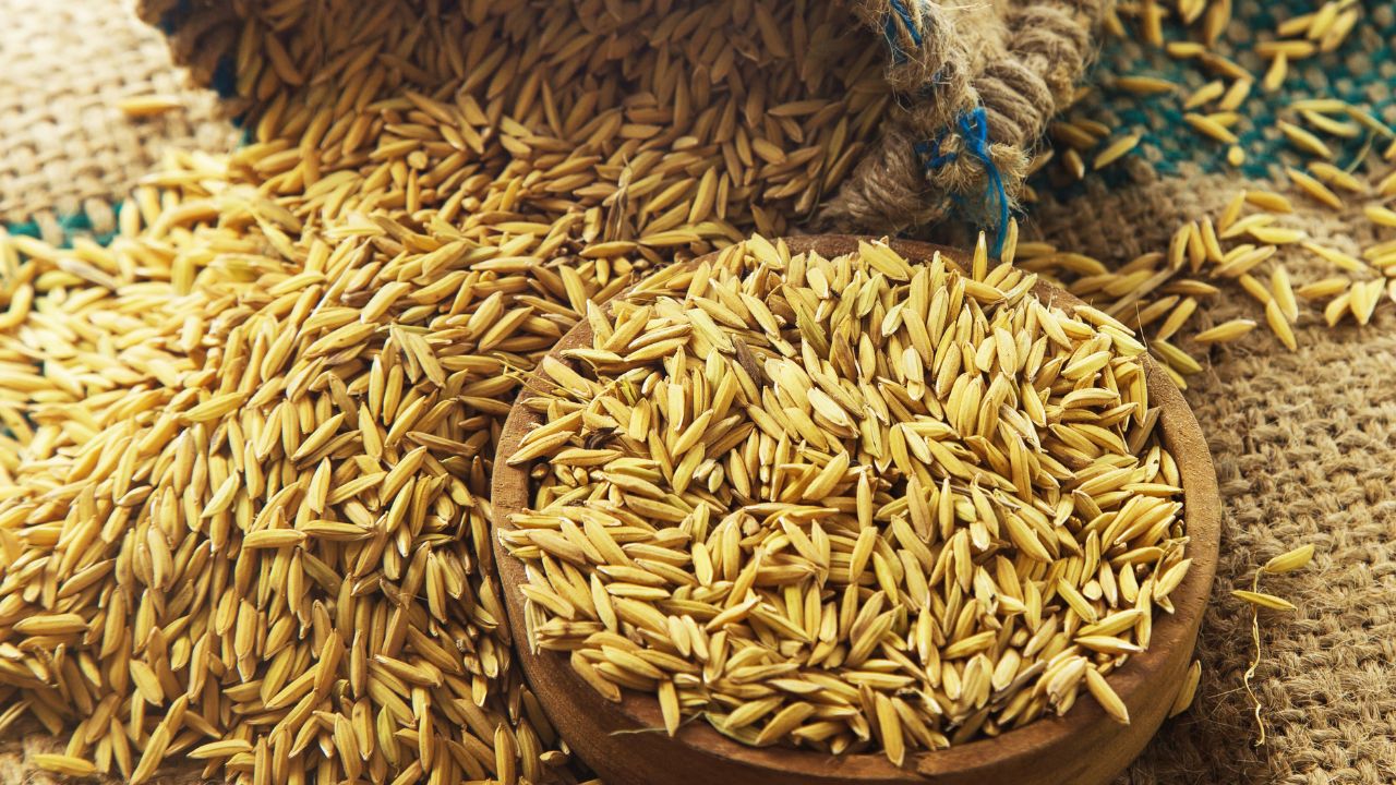 Telangana Government To Investigate Paddy Procurement Complete Records Of Rice Mills