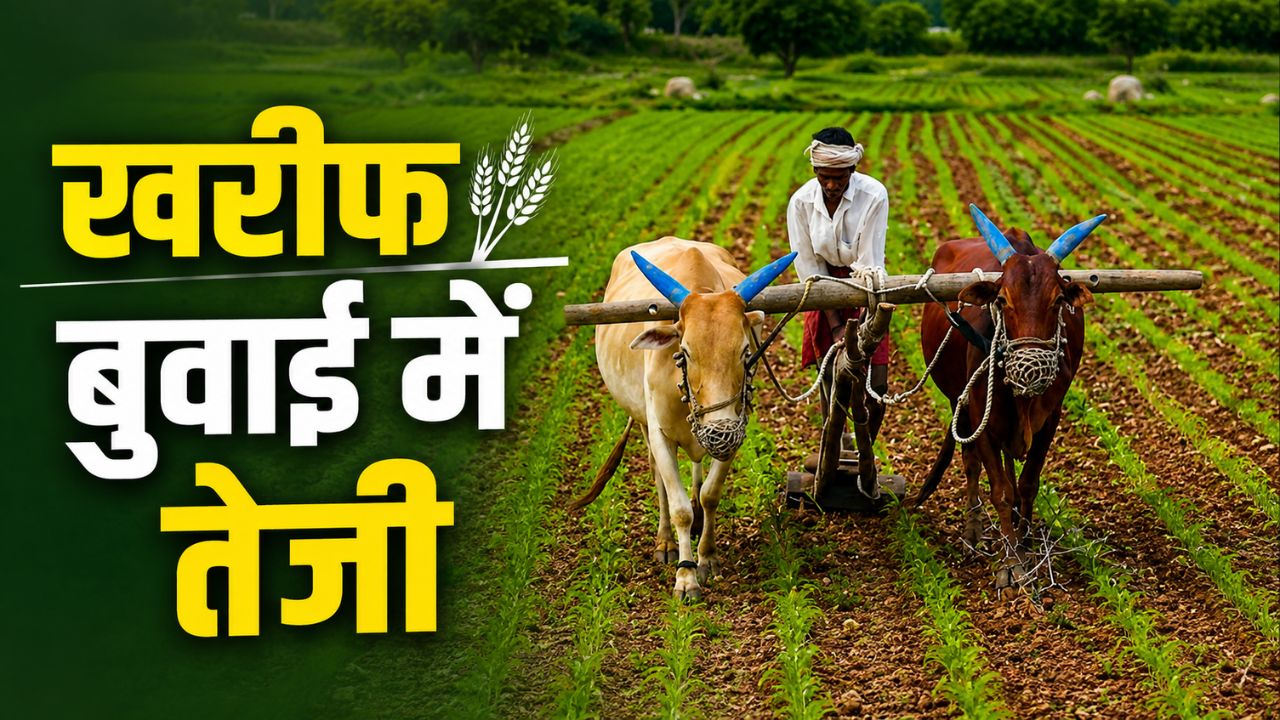 Karnataka Farmers Delighted By Heavy Rains Kharif Sowing Gained Momentum With 50 Of Target Achieved