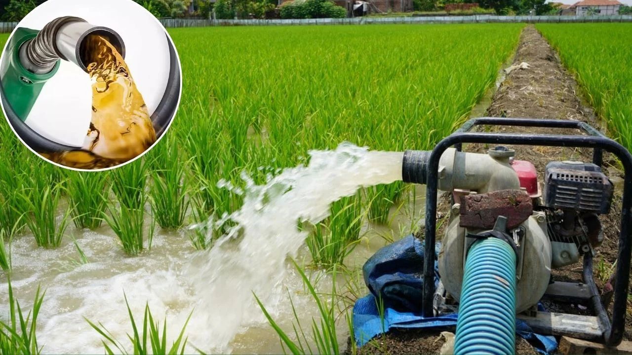 Farmers Bought Large Quantities Of Diesel For Irrigation Due To Scanty Rainfall Sales Rose By 10 Percent Diesel Petrol