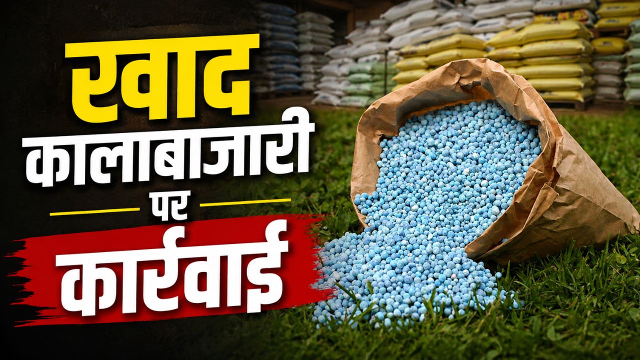 Licenses Of 6 Fertilizer Dealers Suspend For Black Marketing Bihar Agriculture Minister Says Tagging And Overpricing Not Be Tolerated