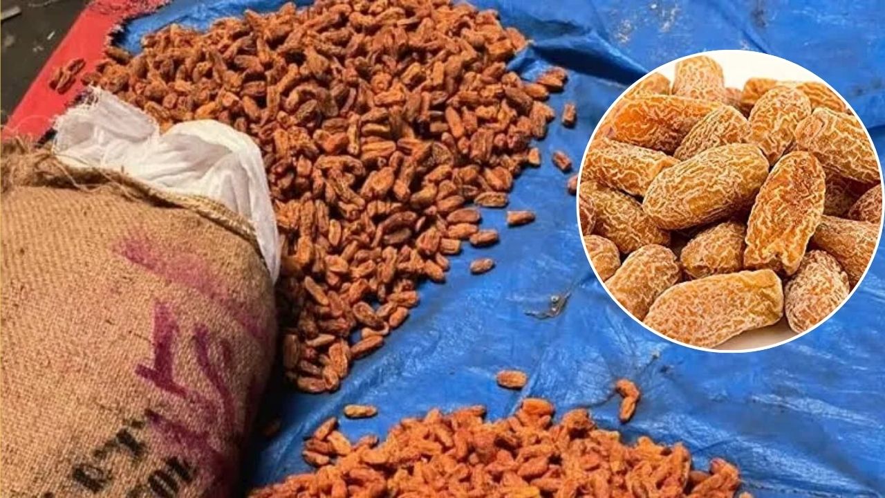 Dri Seizes 364 Metric Tonne Banned Pakistan Origin Dry Dates Imports Worth Rs 3 Crore At Kandla Port Gujarat