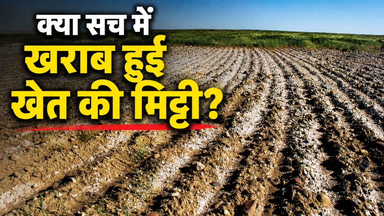 No Study Conducted On Agricultural Land Affected By Chemical Fertilizers And Pesticides Said Agri Minister Ram Nath Thakur In Rajyasabha