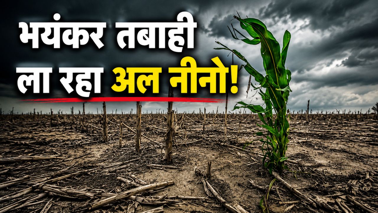 El Nino Impact On Economy Risk Of Declining Crop Yields And Rising Food Inflation Warnings Issued For Forest Fires And Haze Said Sp Global Ratings