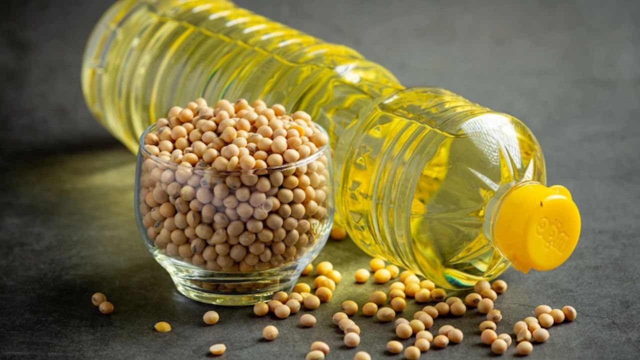 Soybean Oil Prices Fall Groundnut And Cottonseed Oils Price Rises Check Latest Edible Oil And Commodity Prices
