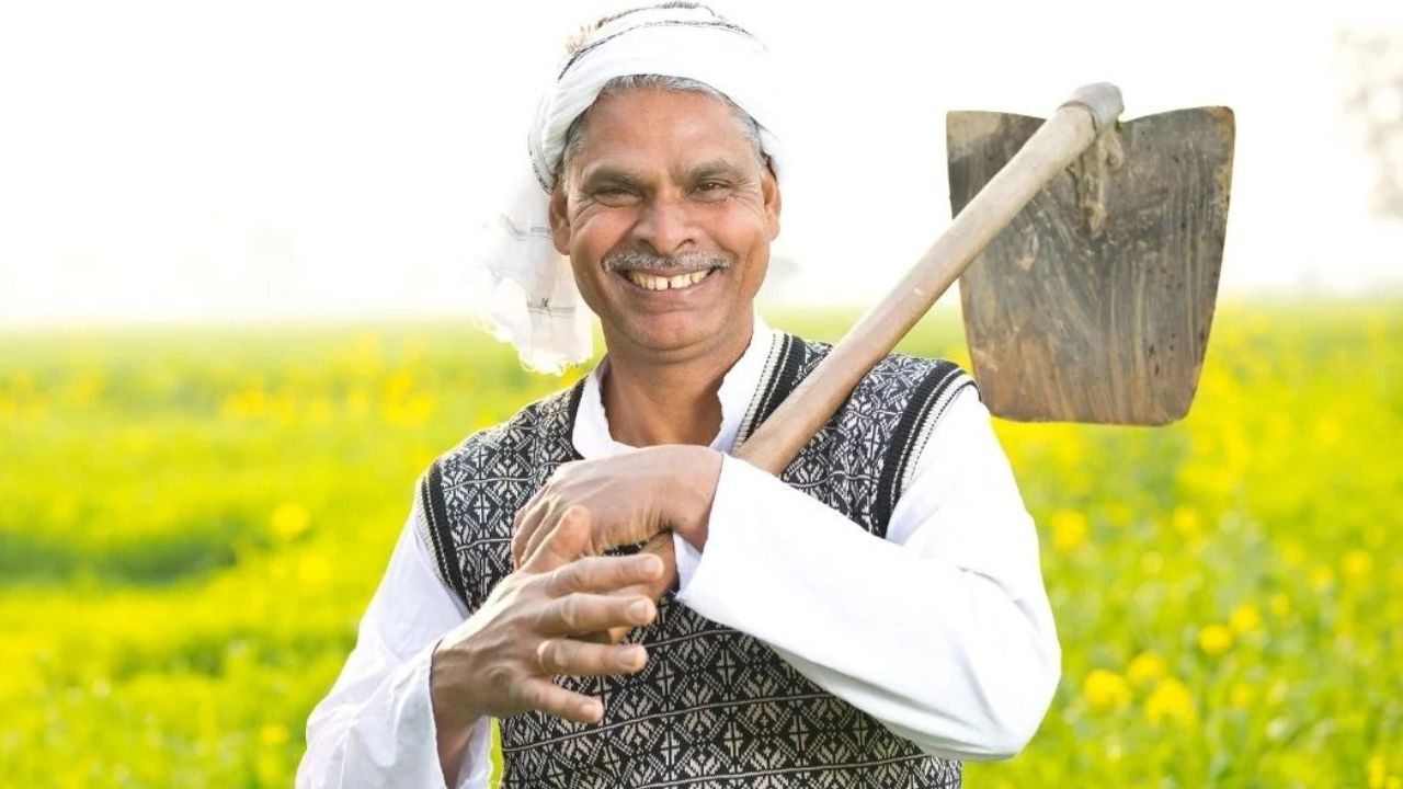 हिमाचल के टमाटर किसानों के लिए आज आखिरी मौका, 15 अगस्त तक करा सकते हैं फसल का बीमा हिमाचल के टमाटर किसानों के लिए आज आखिरी मौका, 15 अगस्त तक करा सकते हैं फसल का बीमा