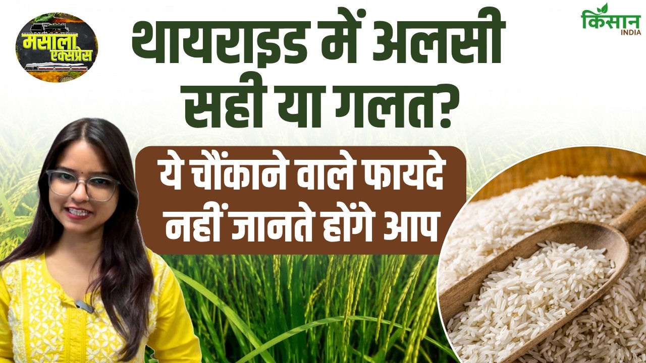 Flax Seeds के बड़े फायदे, नींद, खांसी और थायराइड को लेकर जानें सही तरीका और सावधानियां