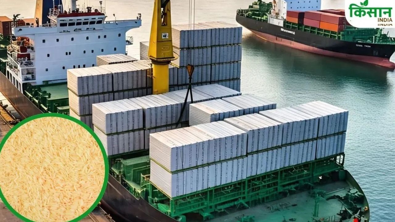 Bangladesh Blocks Indian Rice Shipments Amid Controversy Over Quality Rice Export