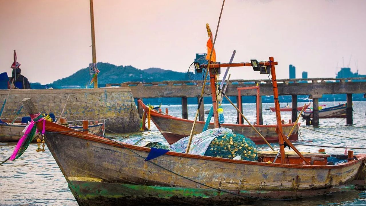 Tamil Nadu Budget Fishermen Disappointed With Tvk Government First Budget