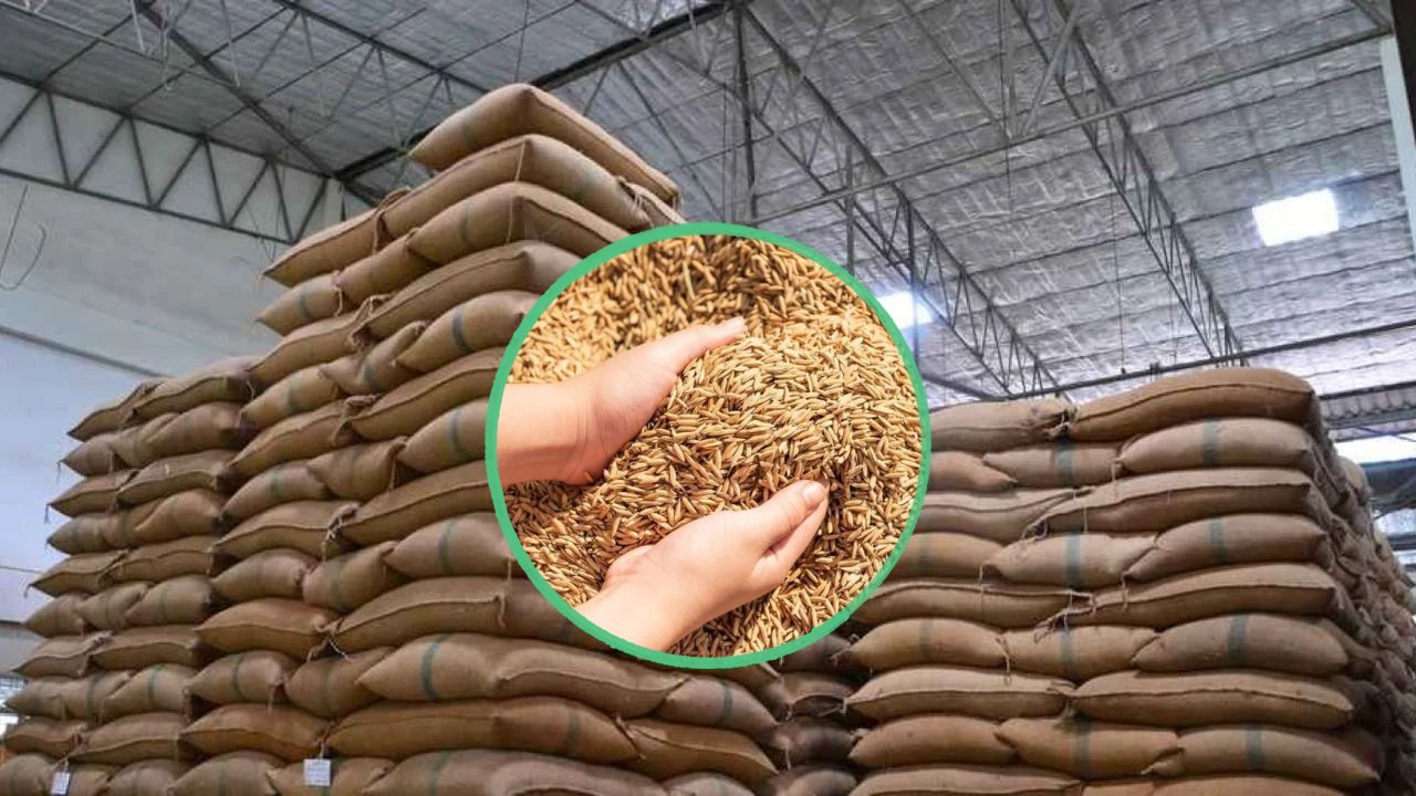 Telangana Paddy Scam Rs 87 Crore Paddy Scam Case Filed Against Three Rice Mills