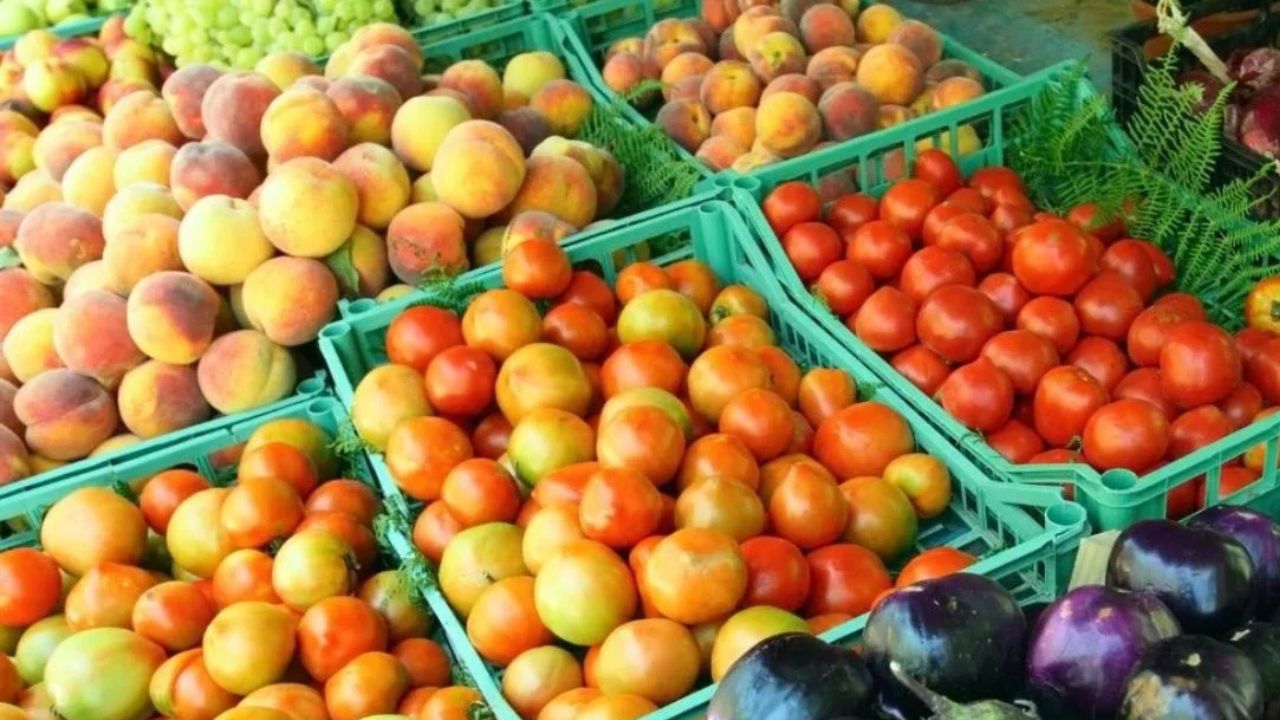 Tomato Prices Fall Solan Tomato Farmers Latest Tomato Market Rates