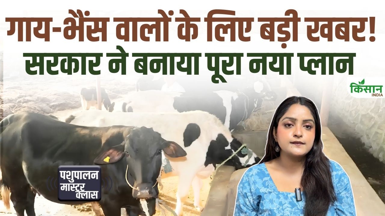 अब पशुपालन होगा और आसान! KCC, इलाज और सब्सिडी से किसानों को मिलेगी राहत