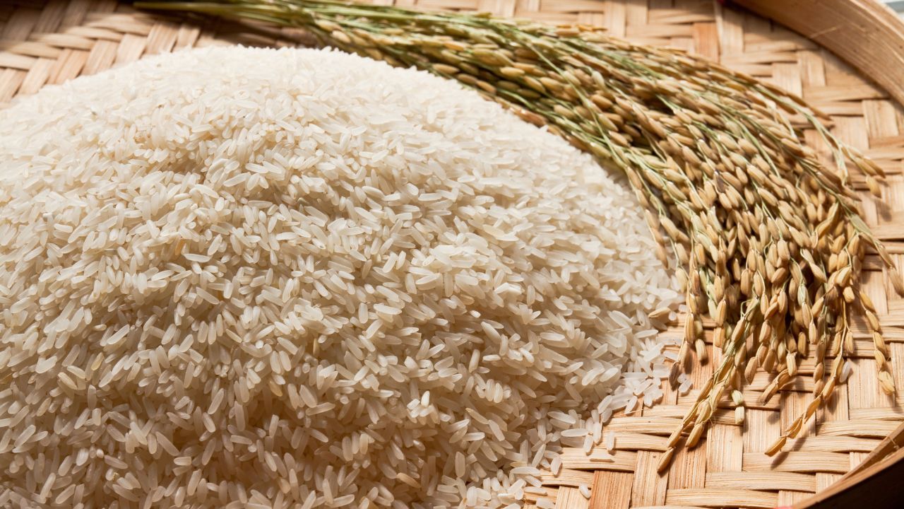 Bharat Atta Bharat Rice New Prices Government Cheap Ration Scheme