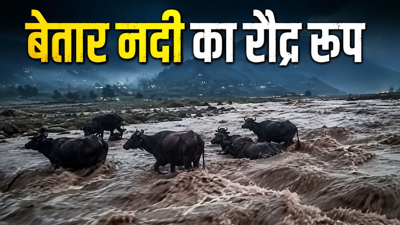 Rajouri Poonch Betaar River Flood Rescue 3 People 15 Cattle Saved