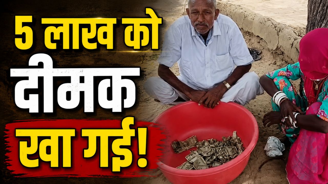 Farmer Buried 5 Lakh In Field Money Damaged By Termites After One Year