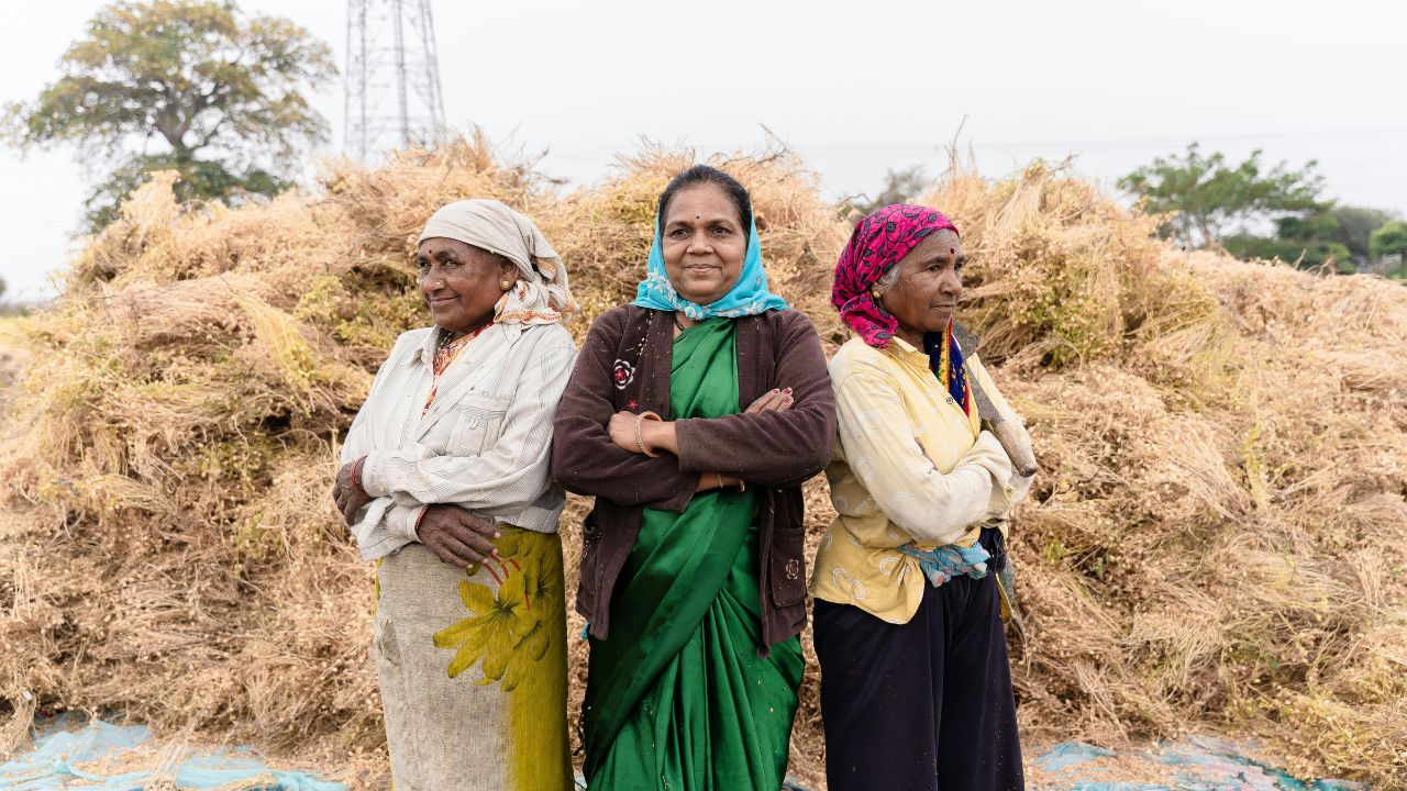 Nagauri Pan Methi Gets National Recognition Community Variety Women Farmers